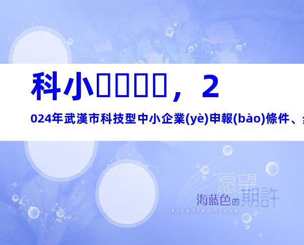 科小，2024年武漢市科技型中小企業(yè)申報(bào)條件、步驟及相關(guān)要求